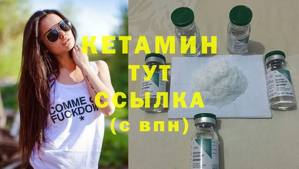 прущие грибы Болохово